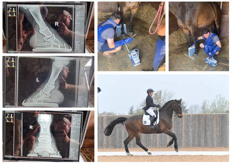 Guest Blog: No foot, No Horse!