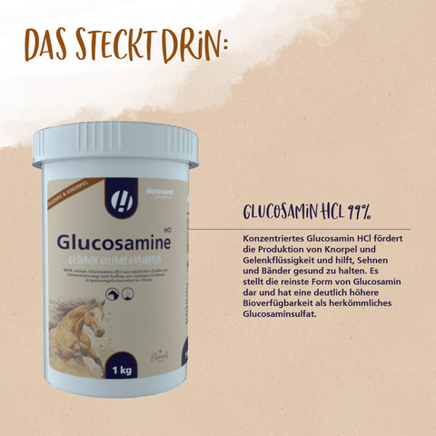 Glucosamin HCl