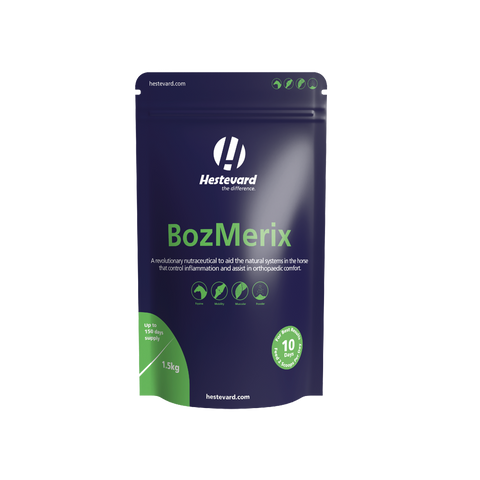BozMerix