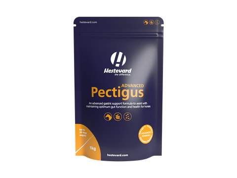 Pectigus ADVANCED
