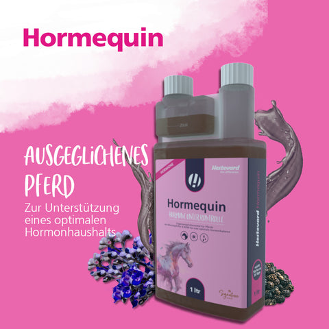 Hormequin