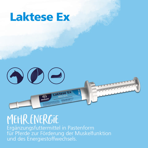 Laktese Ex 30ml Spritze