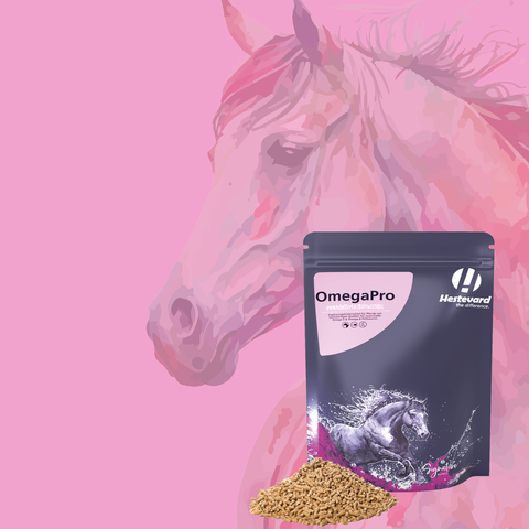 Metabolism support