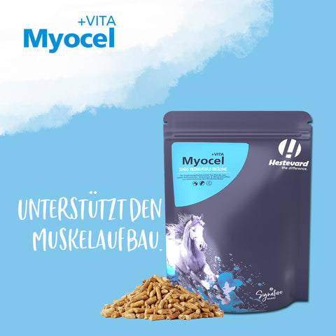 Myocel +VITA