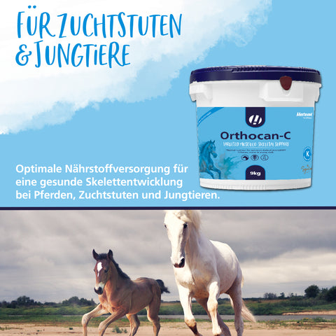 Orthocan-C