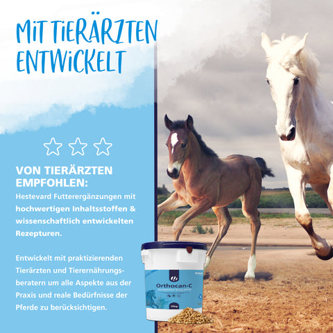 Orthocan-C