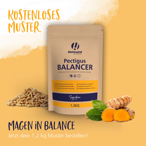 Pectigus Balancer Kraftfutter 10kg
