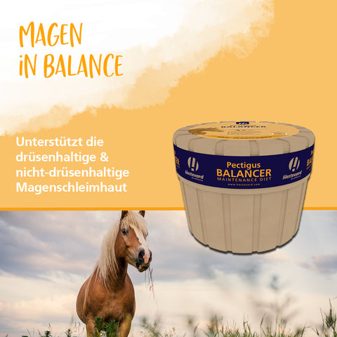 Pectigus Balancer Kraftfutter 10kg