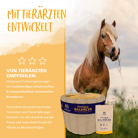 Pectigus Balancer Kraftfutter 10kg