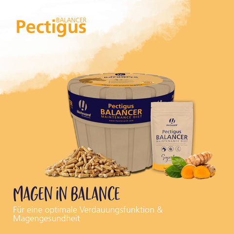 Pectigus Balancer Kraftfutter 10kg
