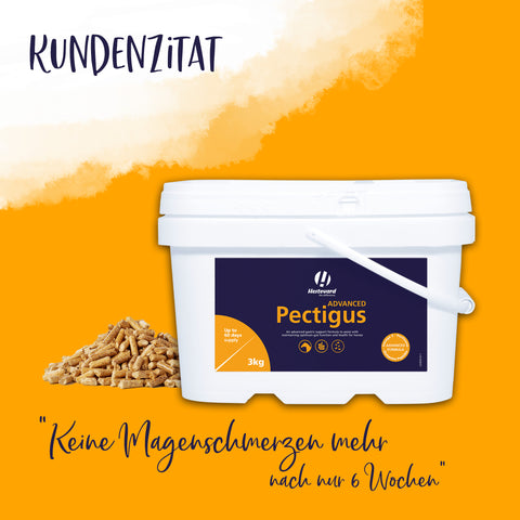 Pectigus ADVANCED