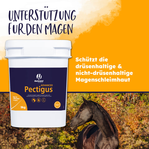 Pectigus ADVANCED