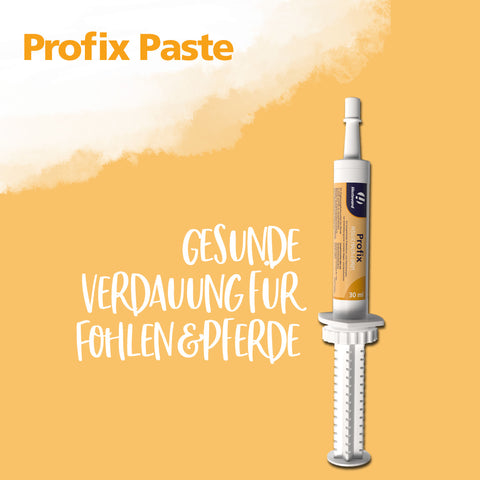 Profix Paste 30ml Spritze