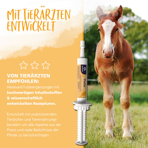 Profix Paste 30ml Spritze