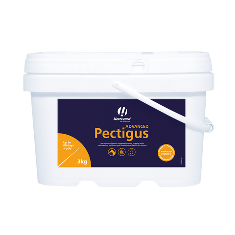 Pectigus ADVANCED