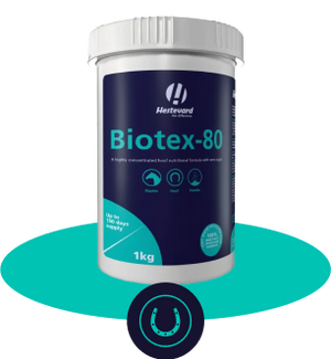 External Health External Health