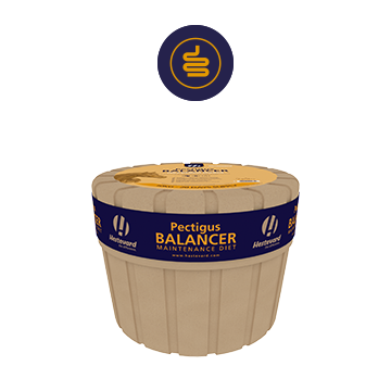 Magen in Balance