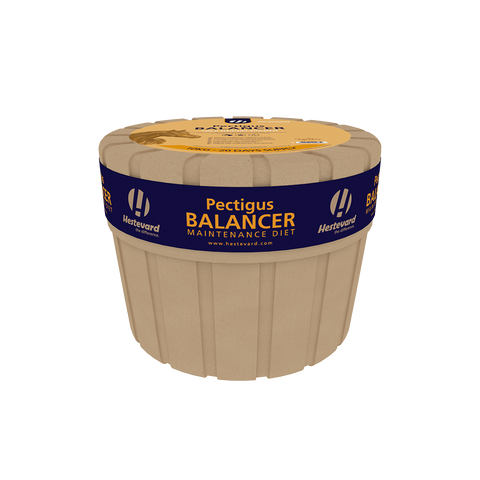 Pectigus Balancer Kraftfutter 10kg