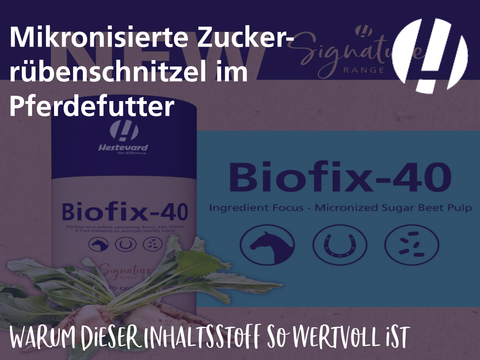 Mikronisierte Zuckerrübenschnitzel im Pferdefutter: Warum dieser Inhaltsstoff so wertvoll ist