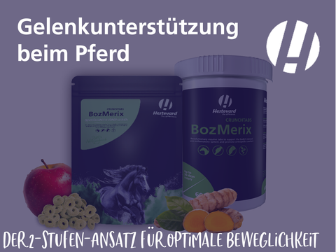 Gelenkunterstützung beim Pferd: Der 2-Stufen-Ansatz für optimale Beweglichkeit
