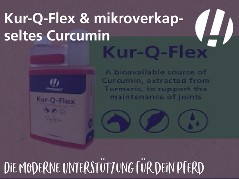 Kur-Q-Flex & mikroverkapseltes Curcumin: Die moderne Unterstützung für dein Pferd