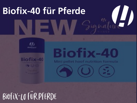 Biofix-40 für Pferde: Biofix-40 für Pferde