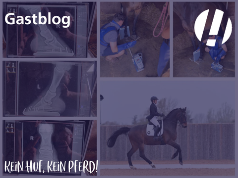 Gastblog: Kein Huf, kein Pferd!