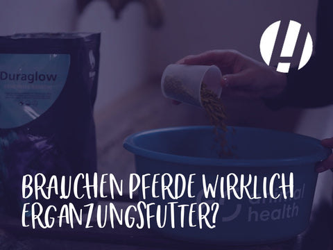 Brauchen Pferde wirklich Ergänzungsfutter?