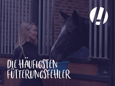 Die häufigsten Fütterungsfehler bei Pferden (und wie man sie vermeidet)