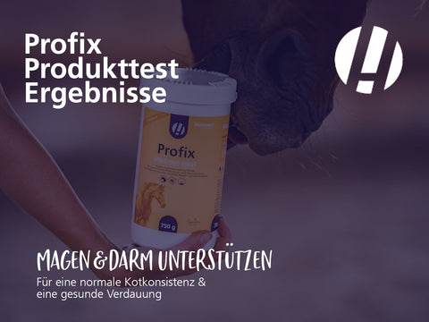 Produkttest Hestevard Profix: Unsere Erfahrungen aus dem Stallalltag