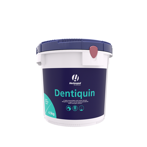 Hestevard Dentiquin