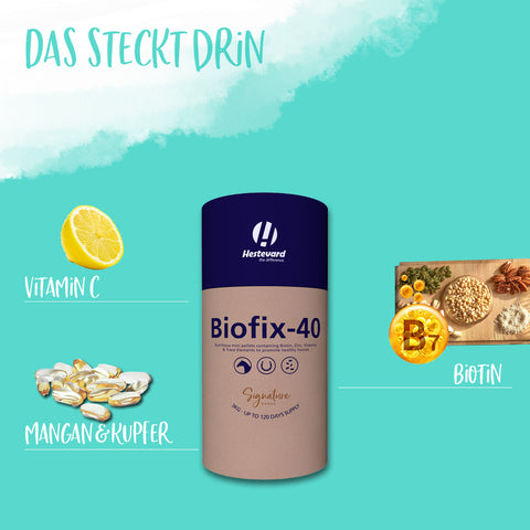 Biofix-40