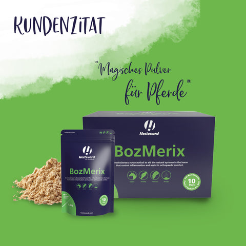 BozMerix