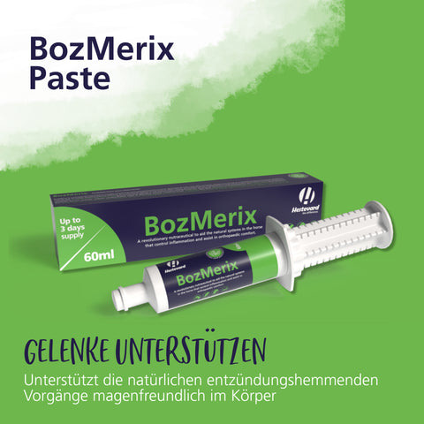 BozMerix BozMerix Paste 60ml