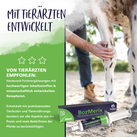 BozMerix BozMerix Paste 60ml