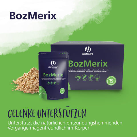 BozMerix