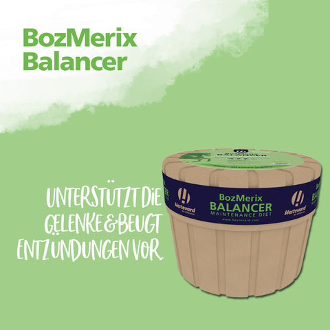 BozMerix Balancer Maintenance Diet 10kg