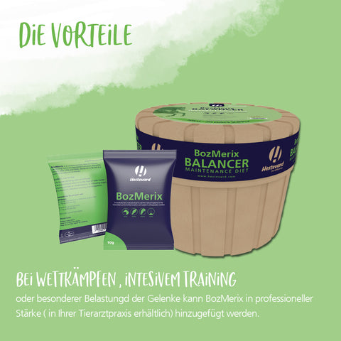 BozMerix Balancer Maintenance Diet 10kg