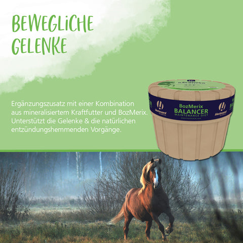 BozMerix Balancer Maintenance Diet 10kg
