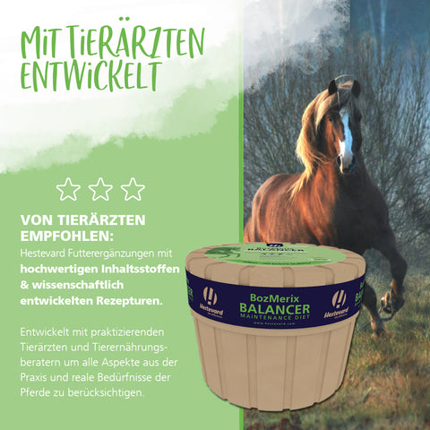 BozMerix Balancer Maintenance Diet 10kg