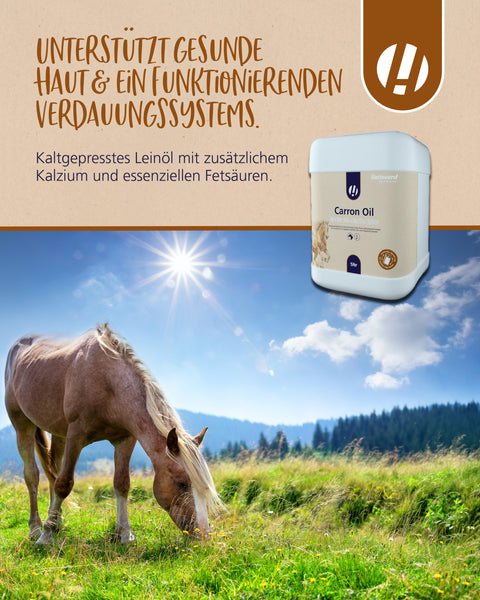 Hestevard Carron Oil