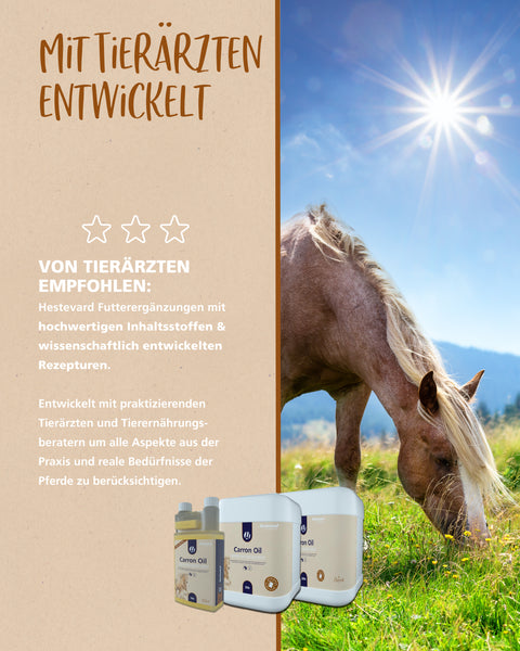 Hestevard Carron Oil