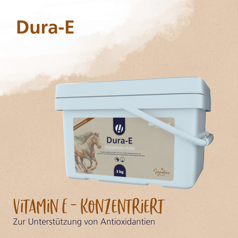 Dura-E