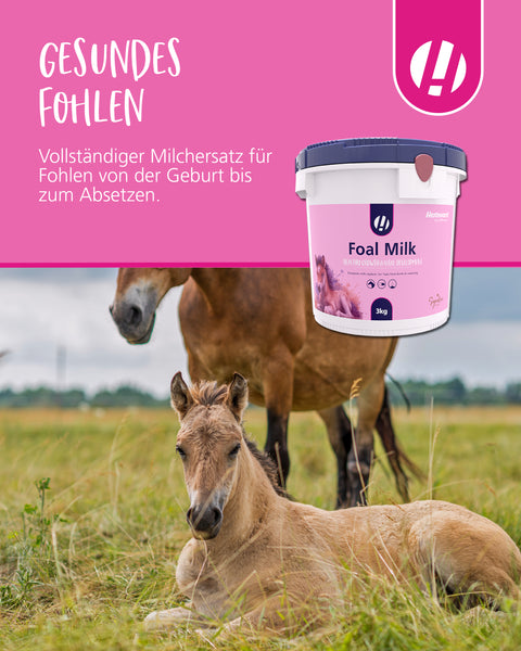 Hestevard Foal Milk Powder