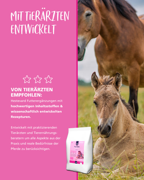 Hestevard Foal Milk Powder