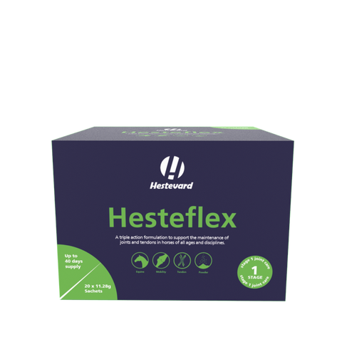 Hesteflex