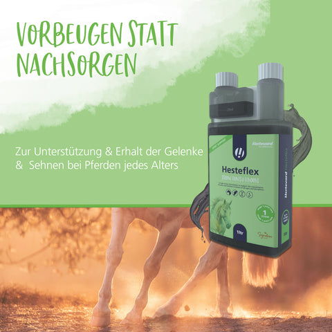 Hesteflex Liquid