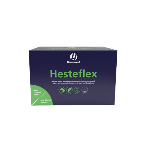 Hesteflex