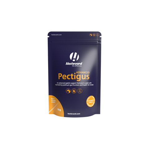Pectigus ADVANCED