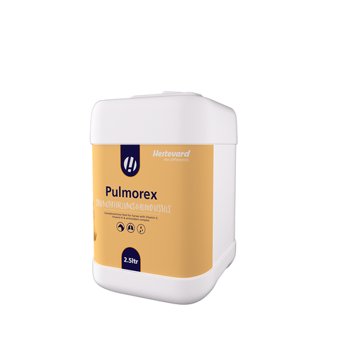 Hestevard Pulmorex